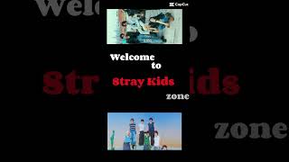 Welcome to Skz zone 👋 [upl. by Ecinahs]