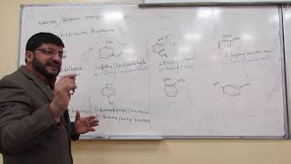 Organic chemistry II 232 CH 15 MVI 0064 [upl. by Anigal289]