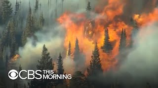 Historic wildfires burn hundreds of thousands of acres throughout Colorado [upl. by Gregrory]