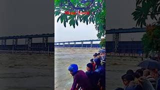 Koshi Nepal border shorts viralvideo trending nepal koshi bihar [upl. by Einobe]