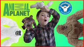 Big Foot Playset Yeti Playset Animal Planet Toys Canadoodle Toy Reviews [upl. by Silirama251]