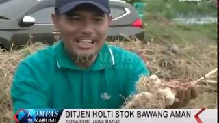 PANEN BAWANG PUTIH DIJEN HORTIKULTURA STOK BAWANG UNTUK NASIONAL AMAN [upl. by Oigile336]