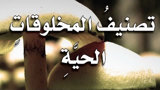 علوم شرح درس تصنيف المخلوقات الحية للصف الرابع الفصل الدراسي الاول [upl. by Ellehsim356]