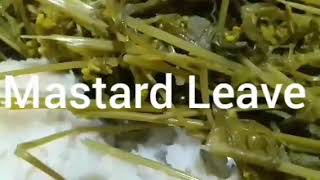 How To Cook Boiled Mastard Leave amp Fry Mithun Meat Recipe At Arunachal 231124 [upl. by Hendren]