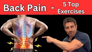 5 Top Low Back Pain Exercises You MUST Do [upl. by Danella]