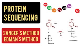 Protein Sequencing  Sangers Method  Edmans Method  Carboxypeptidase Method [upl. by Lust666]