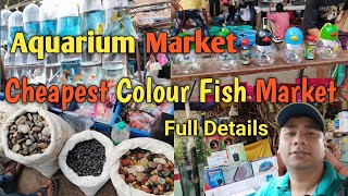 aquarium fish market in kolkata  galiff street fish market recent video [upl. by Assenaj]