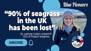 Restoring Lost Seagrass Meadows Along the UK Coastline with Project Seagrass [upl. by Lletnom]