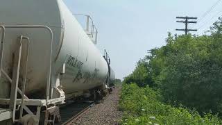 Canadas most illusive train CN 589 the Arnprior local on a Thursday Part one [upl. by Swords620]