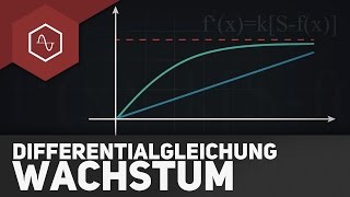 Differentialgleichung beim Wachstum [upl. by Salisbarry]