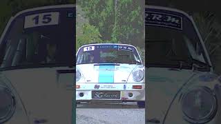 Rally Cartoon version TDHC 2023Giraglia 2023 Show Mistakes rally dust jump [upl. by Anil437]