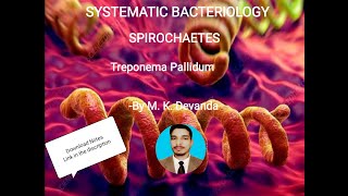 Treponema Pallidum Systemic Bacteriology Microbiology [upl. by Trinetta801]