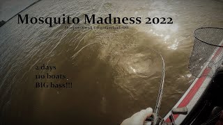 Mosquito Madness Bass Tournament 2022Day One [upl. by Baras]