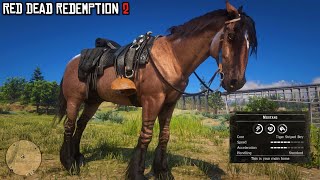 I found this Rare Mustang Horse Early for Arthur  Tiger Striped Bay Mustang  RDR2  PS4 Slim [upl. by Sigrid]