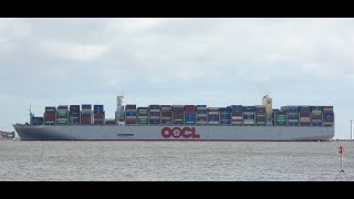 4 Svitzer tugs assist the OOCL Felixstowe with berthing for Felixstowe Berth 9 29th December 2023 [upl. by Riggs]