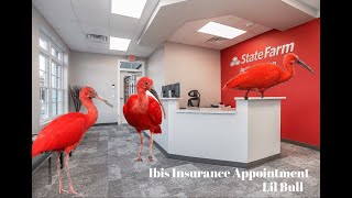 LIL BULL IBIS INSURANCE APPOINTMENT [upl. by Ailb10]