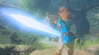 The Legend of Zelda Breath of the Wild  Part 57  Death Mountains Secret [upl. by Neenahs]