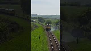 Class 33 33111 Sets off detonators while rescuing Class 50 50021 Rodney [upl. by Osmond]