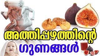 അത്തിപ്പഴത്തിന്‍റെ ഗുണങ്ങൾ  Benefits of Fig Fruits  TASTY WORLD  Athi pazham Health Benfits [upl. by Atauqal]