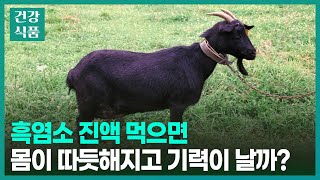 흑염소 진액 효능 이런 분들만 꼭 드세요 내 체질에 맞을까 [upl. by Cathyleen]