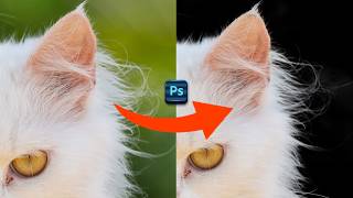 Quick Way to Remove Complex Background in Photoshop 2024 [upl. by Silas]