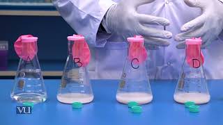 Fermentation of Different Sugars  Lab Scale Production of Alcohol by Yeast  BT512PLecture02 [upl. by Akienahs538]