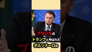 ブラジル大統領の言ってることがヤバすぎた ボルソナーロ 雑学 ゆっくり解説 大統領 [upl. by Nebra]