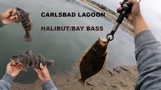 Carlsbad Lagoon Fishing   Halibut  Bay Bass [upl. by Teplica]