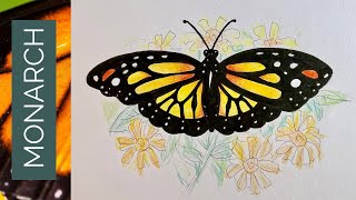 How to draw a monarch butterfly [upl. by Ainafets]