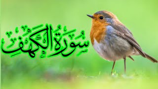 Surah Al kahf Alkahf beautiful Quran recitation [upl. by Lisette]