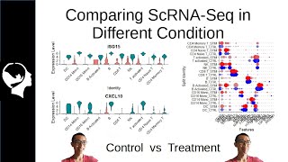 Comparing scRNASeq  Suerat Integration Analysis Brief [upl. by Eniamzaj]