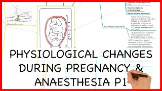 PHYSIOLOGICAL CHANGES DURING PREGNANCY PART 1 PHYSIOLOGY SERIES [upl. by Mindi]