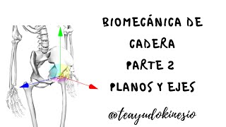 Biomecánica de cadera parte 2 PLANOS Y EJES DE MOVIMIENTOS [upl. by Nivi206]