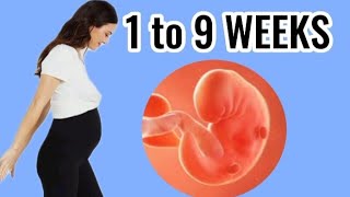 Early Pregnancy 1 TO 9 WEEKS PREGNANCY  From Conception to Early Pregnancy [upl. by Eveline]