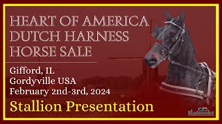 Stallion Presentation  2024 Heart of America Dutch Harness Sale [upl. by Mharg281]