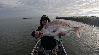 fishing the port of Brisbane how did I stop it [upl. by Sedda]