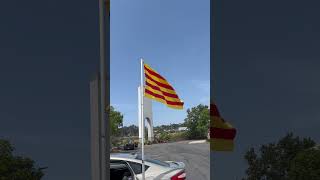 Catalonia flag and anthem flying flags catalonia catalunya senyera [upl. by Kyriako]