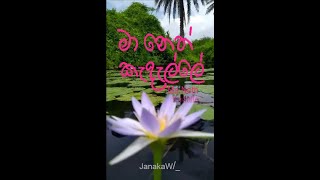 මා නෙත් කැ දැ ල්ලේMa Neth Kedelle Cover by Janaka Wijesundara [upl. by Nnylannej268]