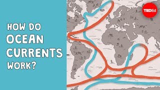 How do ocean currents work  Jennifer Verduin [upl. by Ramuk]