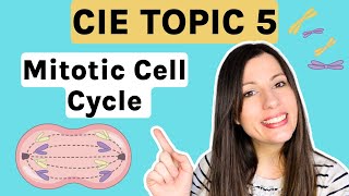 Mitosis and the Cell Cycle  Entire topic CIE Alevel Biology Topic 5 [upl. by Akkim]