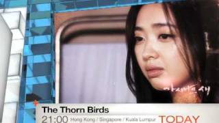 Today 323 The Thorn Birds  The First Episode [upl. by Becka10]