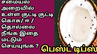 மழைக்காலத்தில் குட்டி குட்டி கொசு பூச்சி தொல்லை பாசி படிந்த பொருள்களை சுத்தம் செய்வது [upl. by Lytle]