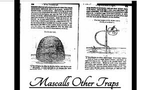 Mascalls other traps [upl. by Siron400]