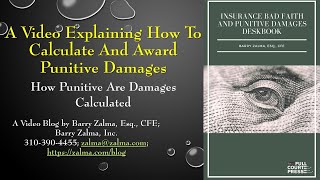 A Video Explaining how to Calculate and Award Punitive Damages [upl. by Timms707]