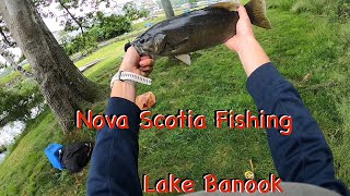 Multi species fishing in Dartmouth Nova Scotia [upl. by Nnahaid]