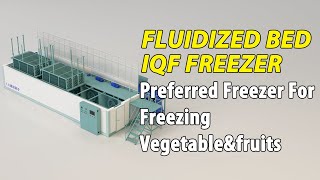 Fluidized Bed IQF Freezer Vegetable And Fruits Freezing Machine Manufacturer [upl. by Etnoek]