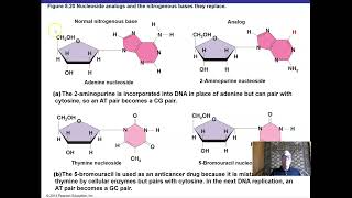 Ch 8 Part 2 Microbial Genetics [upl. by Andrey906]