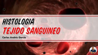 Histología  Tejido Sanguíneo Plasma Hematíes Leucocitos y Plaquetas [upl. by Vidal]