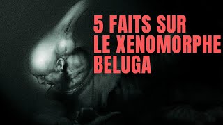 5 FAITS SUR LE XENOMORPH BELUGA Feat Benoit Allemane  alien xenomorph [upl. by Ardel551]