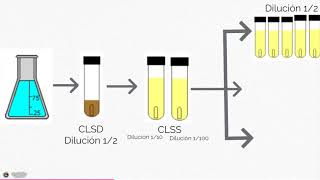 Análisis Microbiológico de Agua por Numero Más ProbableNMP [upl. by Massimo]